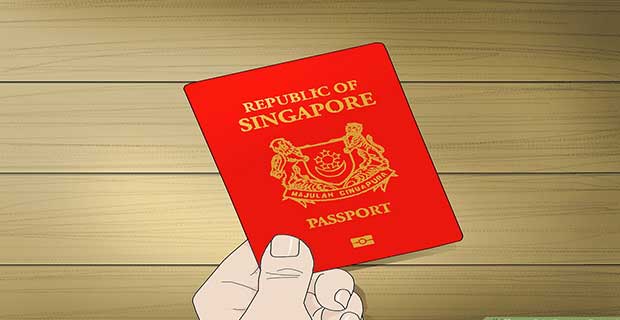 how pakistani students can get the permanent citizenship of Singapore 