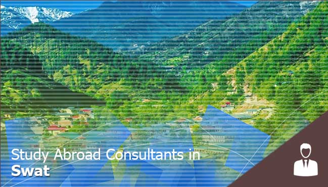 top consultants in Swat 