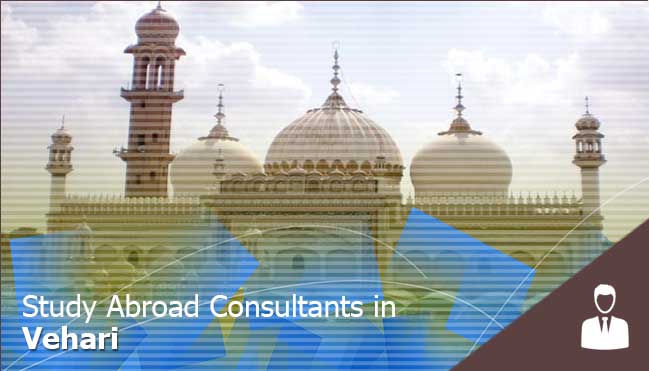study abroad consultants in Vehari