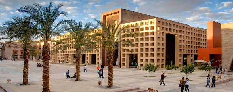 The American University in Cairo