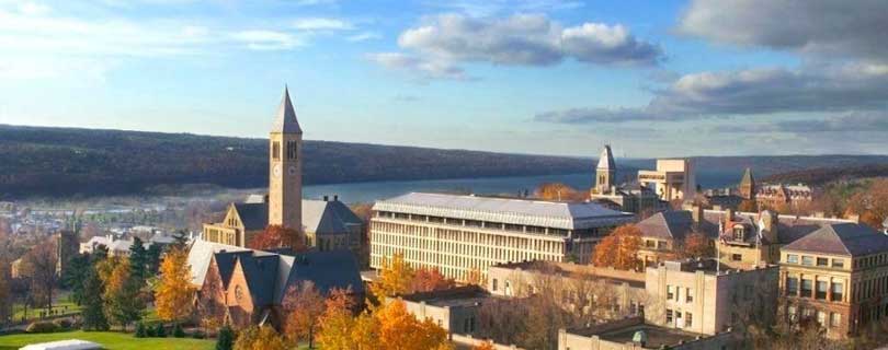 Cornell University