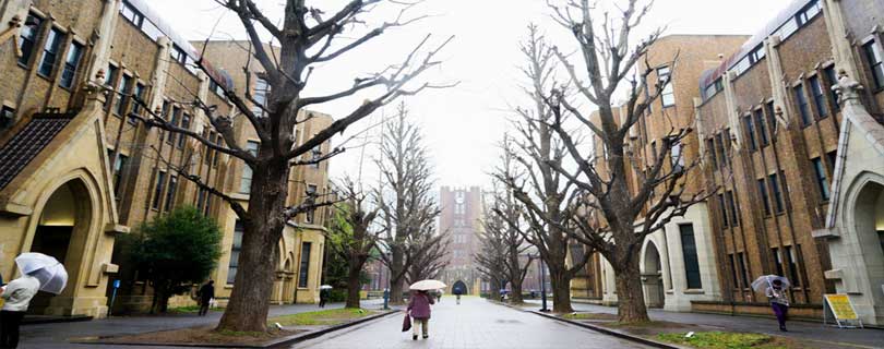 The University of Tokyo