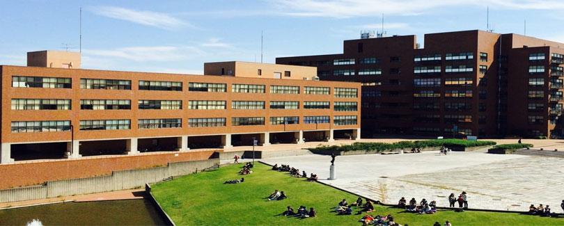 University of Tsukuba