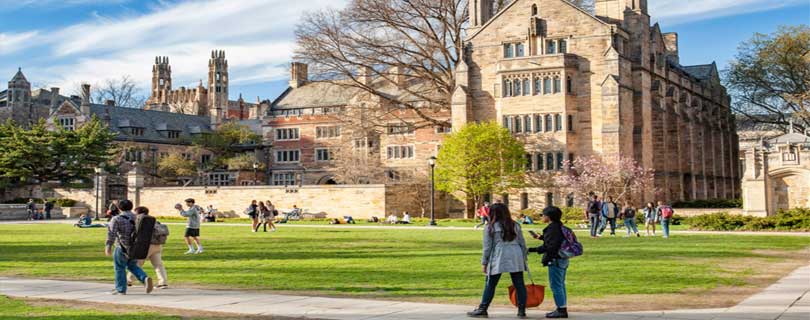 Yale University