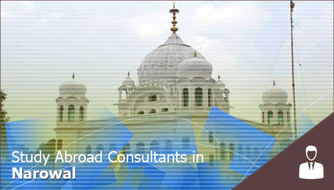 top consultants in Narowal 