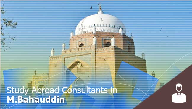 consultants in  M.Bahauddin