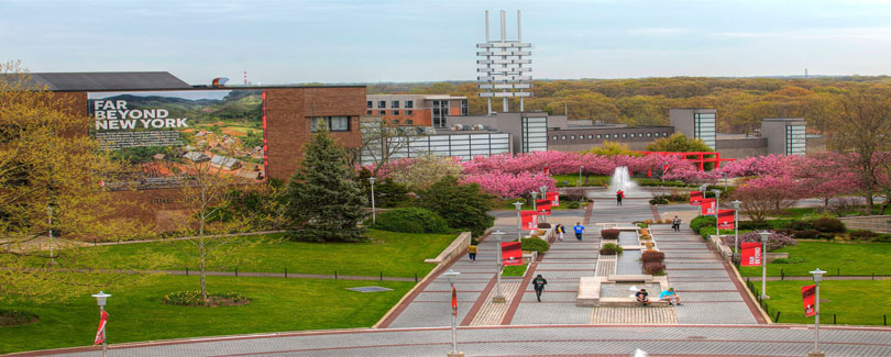 Stony Brook University